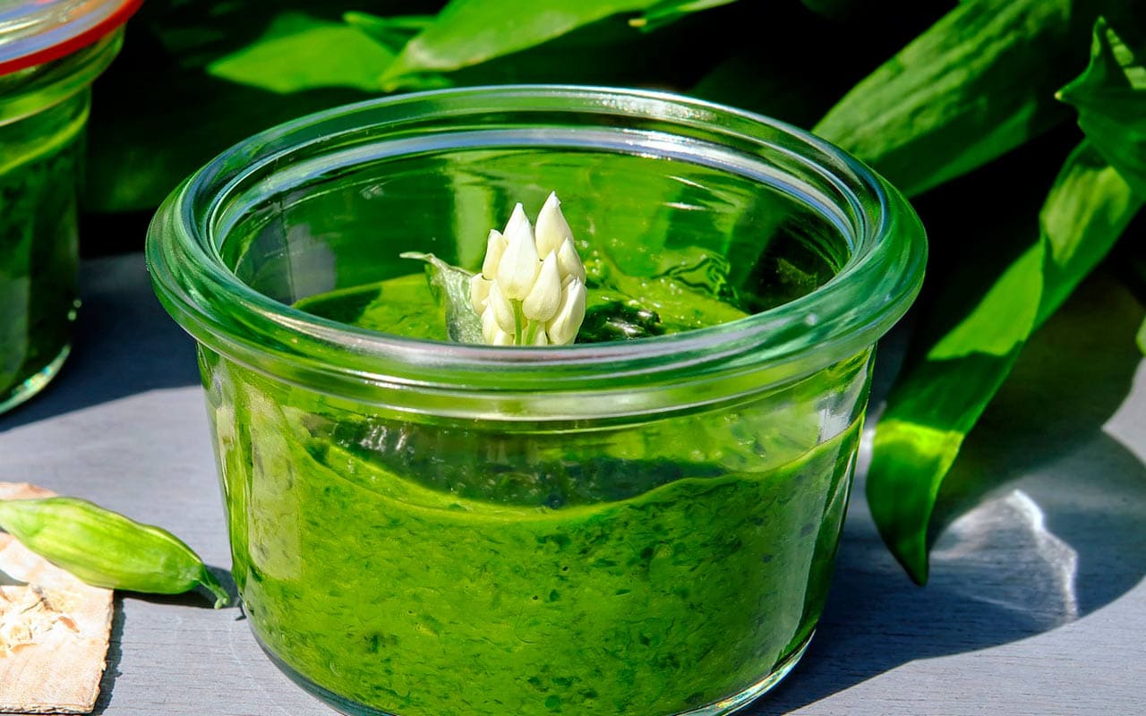 Brændenælde pesto